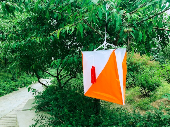 飛鳥(niǎo)創(chuàng)意拓展團(tuán)建項(xiàng)目組獨(dú)家承辦北京市朝陽(yáng)區(qū)人民法院拓展團(tuán)建活動(dòng)！